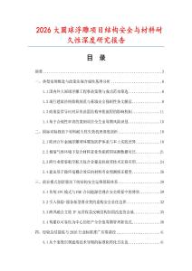 2026大圆球浮雕项目结构安全与材料耐久性深度研究报告.docx