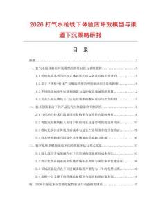 2026打气水枪线下体验店坪效模型与渠道下沉策略研报.docx