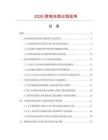 2026跨境电商出海视角.docx