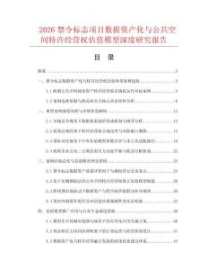 2026禁令标志项目数据资产化与公共空间特许经营权估值模型深度研究报告.docx