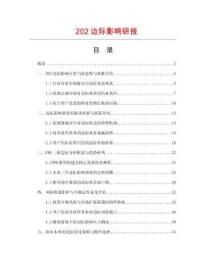 202边际影响研报.docx