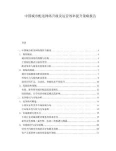 中国城市配送网络升级及运营效率提升策略报告.docx