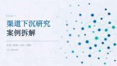 渠道下沉研究案例拆解课件
