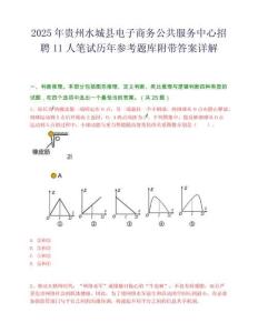 2025年贵州水城县电子商务公共服务中心招聘11人笔试历年参考题库附带答案详解.docx