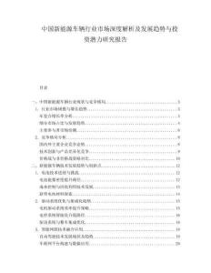 中国新能源车辆行业市场深度解析及发展趋势与投资潜力研究报告.docx