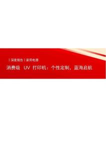 家用电器-消费级UV打印机：个性定制，蓝海启航