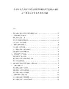 中国智能仓储管理系统研发领域供求平衡特点分析及科技企业投资发展策略规划.docx