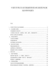 中国汽车售后行业市场现状供需分析及投资评估规划分析研究报告.docx