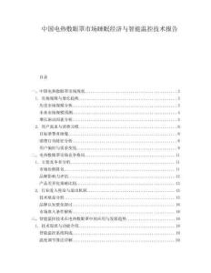 中国电热敷眼罩市场睡眠经济与智能温控技术报告.docx
