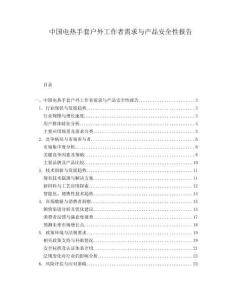 中国电热手套户外工作者需求与产品安全性报告.docx