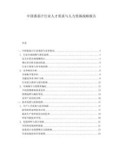 中国番茄汁行业人才需求与人力资源战略报告.docx