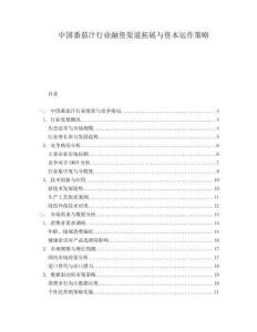中国番茄汁行业融资渠道拓展与资本运作策略.docx