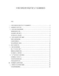 中国白酒农村市场开发与下沉战略报告.docx