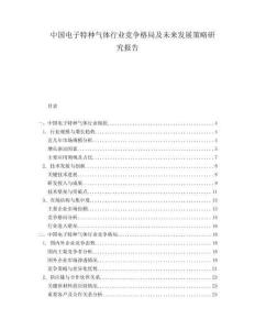 中国电子特种气体行业竞争格局及未来发展策略研究报告.docx