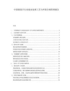 中国番茄汁行业废水处理工艺与环保合规管理报告.docx