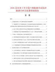 2026及未来5年中国六角匙套市场现状数据分析及前景预测报告