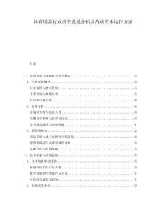 体育用品行业投资发展分析及战略资本运作方案.docx