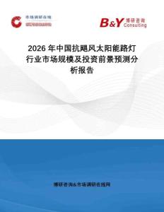 2026年中国抗飓风太阳能路灯行业市场规模及投资前景预测分析报告