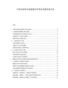 中国电蒸锅市场健康烹饪理念传播效果评估.docx