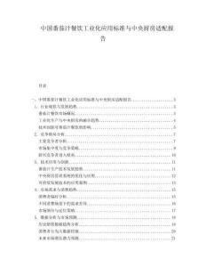 中国番茄汁餐饮工业化应用标准与中央厨房适配报告.docx