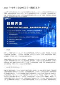 2026年吗啉行业企业投资可行性报告——智研咨询
