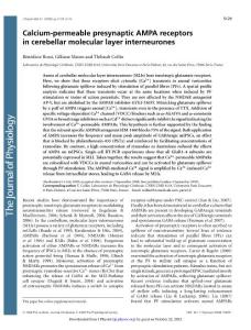 Calcium-permeable presynaptic AMPA receptors in cerebellar