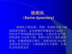 豬痢疾又稱血痢