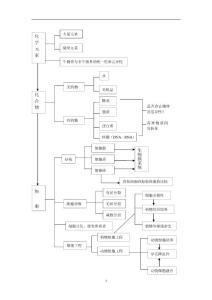 高中生物知识网络