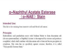 α-Naphthyl Acetate Esterase (α-NAE) STAIN Protocol