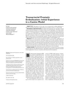 Transarterial prostatic embolization: initial experience in a canine model.