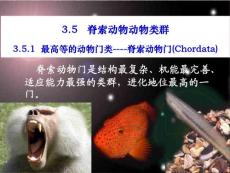普通动物学 刘凌云－3－5-1-2脊索动物门-圆口纲
