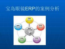 寶島眼鏡ERP的案例分析.ppt