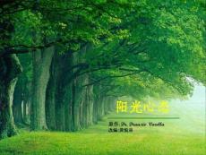 陽光心態