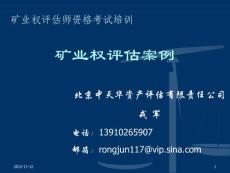 礦業權評估案例（戎軍）