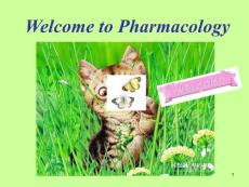13.镇痛药Analgesics——山东大学药理学英文课件
