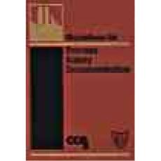 Guidelines for Process Safety Documentation