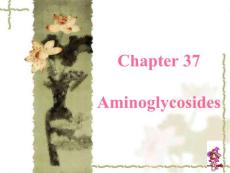 29.氨基糖胺类抗生素Aminoglycosides——山东大学药理学英文课件