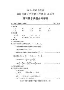 2012～2013学年度武汉市部分学校高三年级11月联考理科数学答案