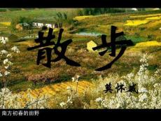 苏教版语文八下《散步》ppt课件3【精品】