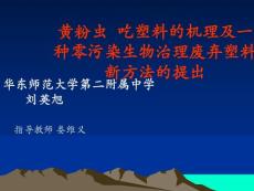 黄粉虫"吃"塑料的机理研究及一种零污染排放生物治理废弃塑料...