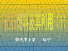 鲁教版化学九年《化石燃料及其应用》ppt课件【精品】