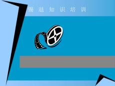 PPG浮法玻璃錫退知識課件