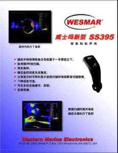 SS395中文彩页