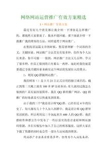 网络网站运营推广有效方案精选