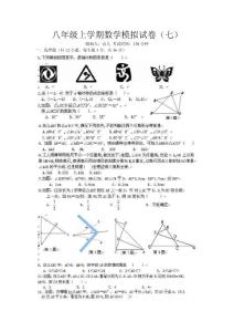 八年级上学期数学模拟试卷（七）