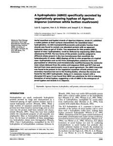 A hydrophobin (ABH3) specifically secreted by