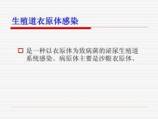 尖锐湿疣等课件.ppt
