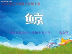 《鲸》课件（小学语文新人教版五年级上册课件）