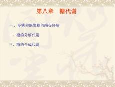 【環(huán)境化學(xué)】第八章 糖代謝