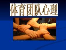 體育團(tuán)隊(duì)心理